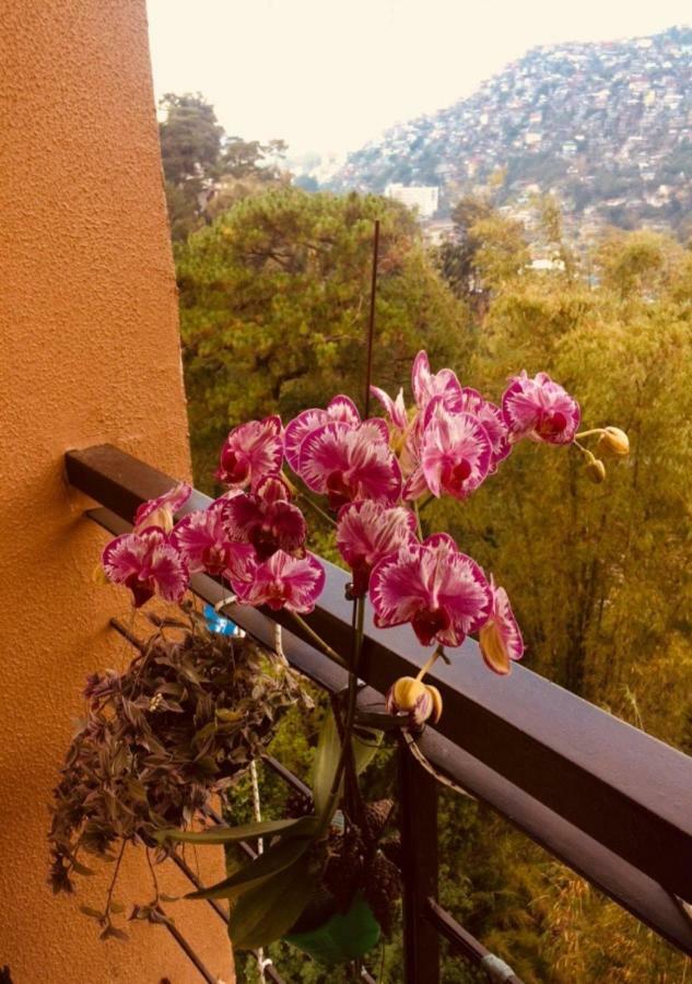 Courtyards Peak-Corner Pinestay - At Goshenland Baguio Baguio City Dış mekan fotoğraf